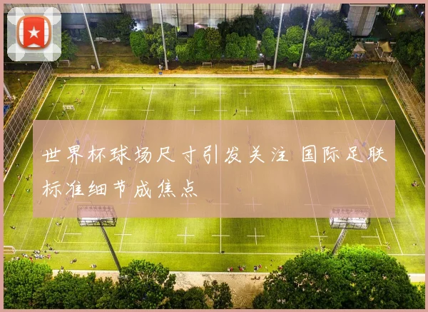 世界杯球场尺寸引发关注 国际足联标准细节成焦点